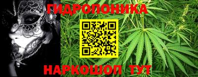 круглые Кингисепп