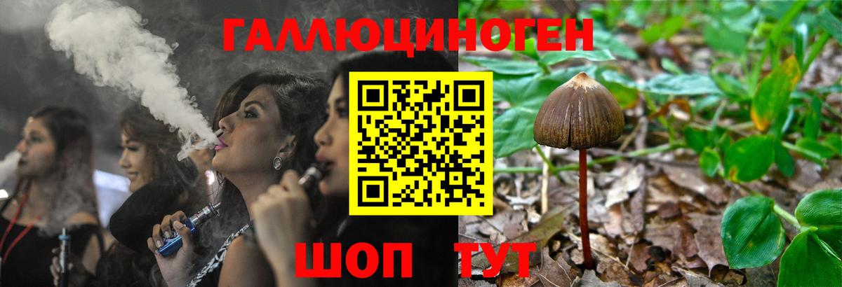 Краснодар  Псилоцибиновые грибы Psilocybe  Вход с VPN 